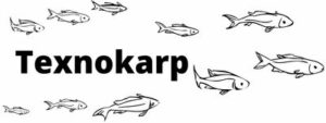 Site logo